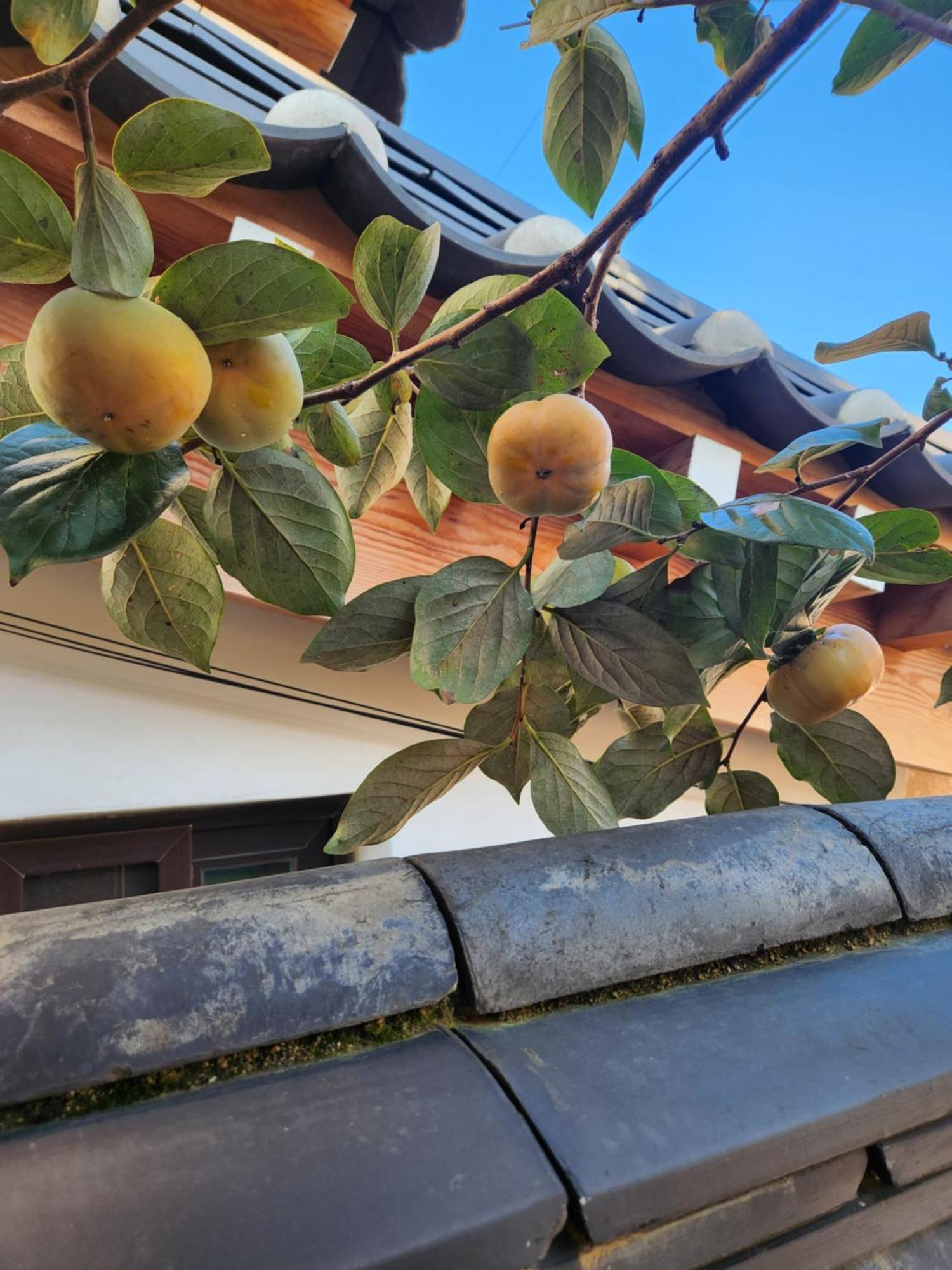 Hanokinn Gyeongju Exterior foto